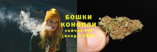 молекула духа Аркадак
