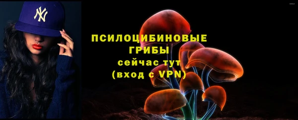 ALPHA PVP Баксан