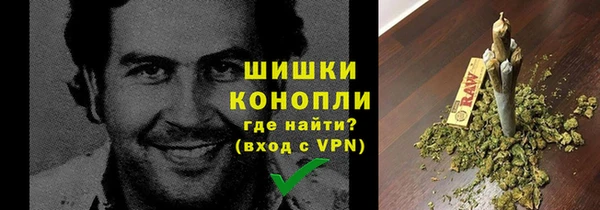 молекула духа Аркадак